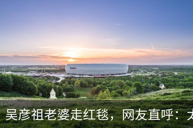 吴彦祖老婆走红毯，网友直呼：太辣眼！“疑似”跟黄多多拿错了衣服